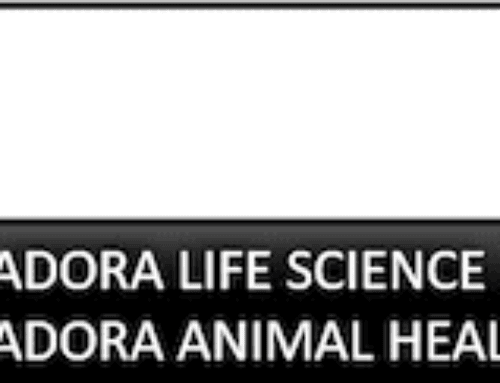 New Member Spotlight: Adora Life Science